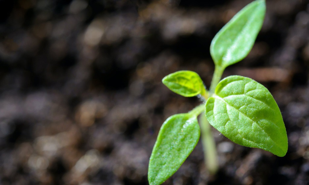 UCISustainability, UC Irvine Division of Career Pathways